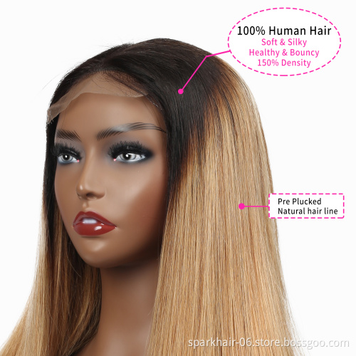 Ombre 4x4 Lace Closure Wig Straight Human Hair Pre-Plucked 1B/27 Lace Closure Wig For Women Lace Closure Straight Hair Wigs